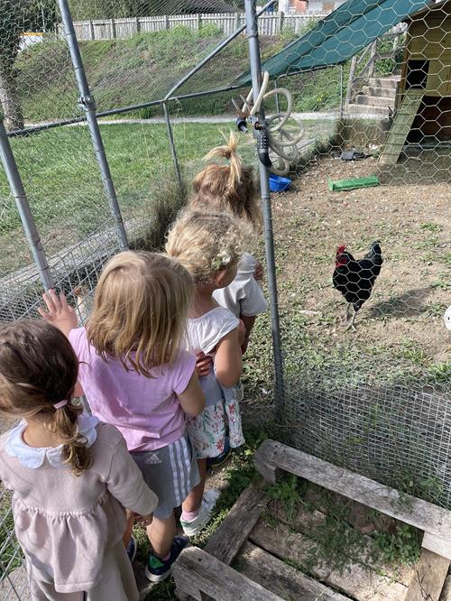 La maternelle ouvre ses ailes !  